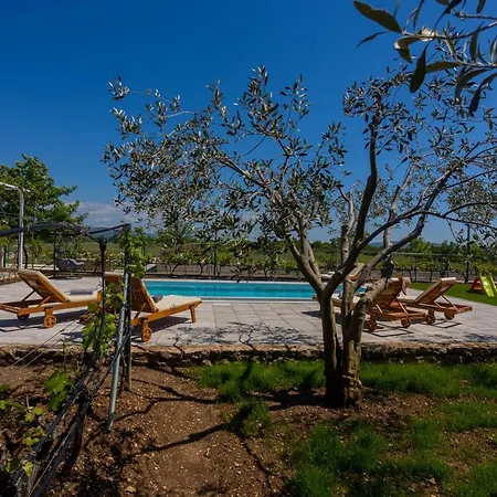 Holiday House Olive Tree Kaocine Exterior photo