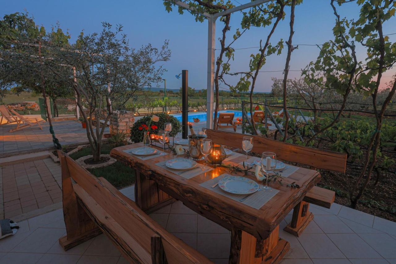 Villa House Olive Tree *