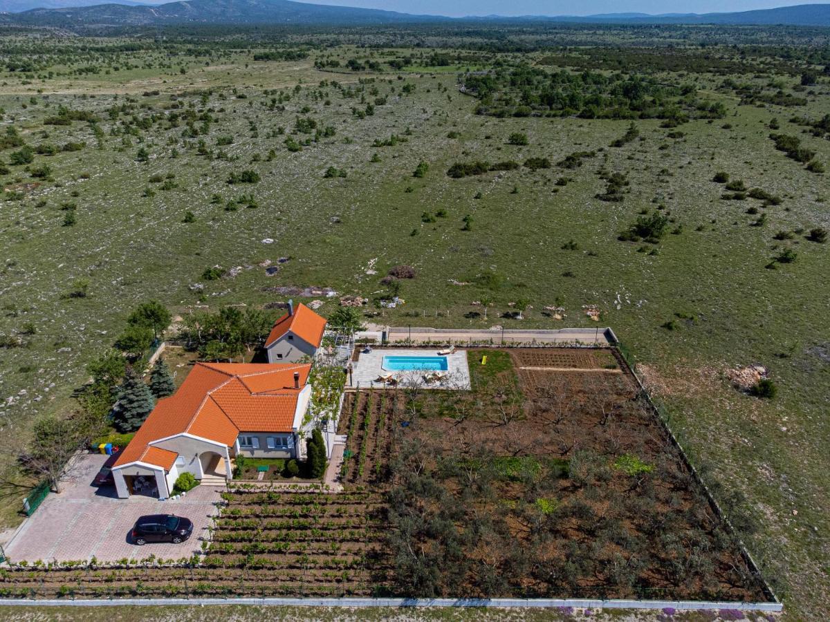 House Olive Tree Kaocine